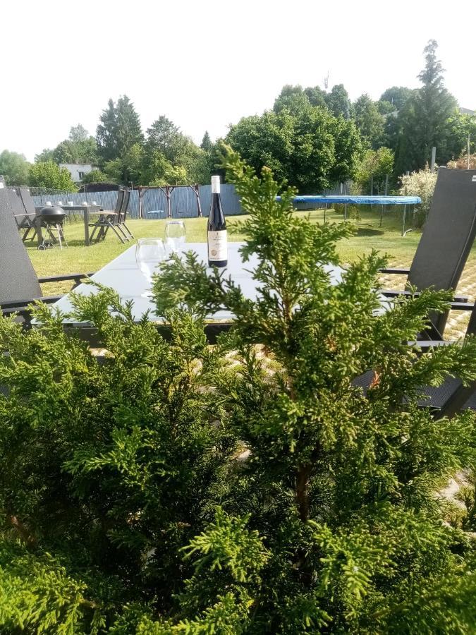 Apartmany Kohoutek A Slepicka V Novohradskych Horach Nové Hrady 外观 照片
